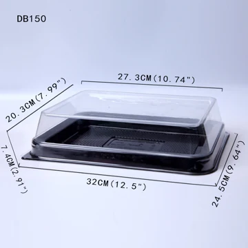 DB150 Rectangular Clear Dome Lid