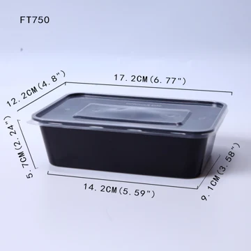 FT750 Rectangular Container with Flat Lid