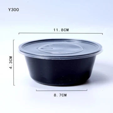 Y300