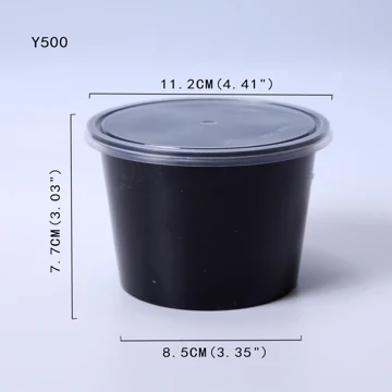 Y500